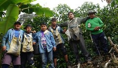 10 lbs BOLIVIA FAIR TRADE ORGANIC (FTO) AA GREEN COFFEE BEANS FREE SHIPPING