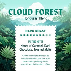 Clean Coffee Co Honduran El Jaguar, Dark Roast Whole Bean Coffee, 12 Ounce Bag,