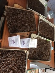 Mountain Berry Kitchen – Roasted Coffee – Arabica Beans Roasted Fresh 10 Oz bag.