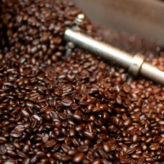COSTA RICAN COFFEE BEANS DOTA TARRAZU MEDIUM ROASTED 5 BAGS 1 POUND EACH
