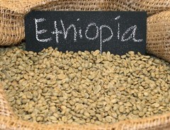 100% ETHIOPIA YIRGACHEFFE G1 – Premium Specialty Coffee – Green Beans 5lb