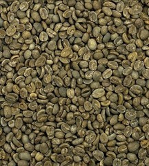 Green Coffee Beans / Bali Blue Moon Kintamani Highlands / 1 Pound / UNROASTED