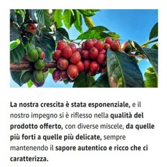SIAG Coffee Beans ITALIAN COFFEE Line LAPILLI Blend 1 kg Bags Espresso Napoli