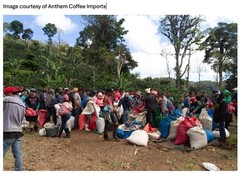 Freshly roasted single origin coffee – Nicaragua Limoncillo