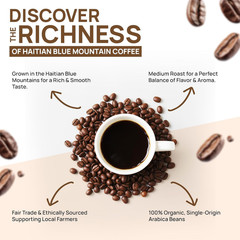 Medium Roast Whole Bean Coffee | Haitian Blue Mountain 100% Arabica