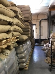 25 LBS Brazilian Santos #16 Green Bean Coffee