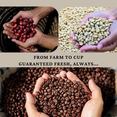 Sippers Whisper Espresso Blend Medium Roast Whole Bean Coffee 1lb 16oz