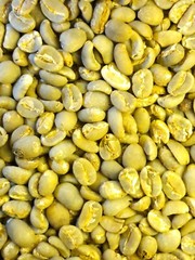 Sumatra Gayo Mandiri Coffee Beans – Organic Green/Raw, 1 lb