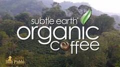 Organic Light Roast Whole Bean Coffee – 2LB 100% Arabica, Low Acidity, Non-GMO