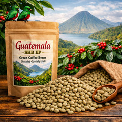 Guatemala Green Coffee Beans – SHB EP – Premium Unroasted – High‑Altitude
