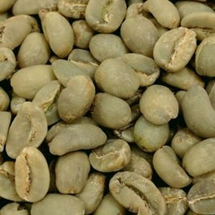 ZBEST! Fresh Hand Wash Ethiopian Roasted Seattle’s Best Zbuna Coffee!