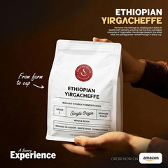 Daily Sips Rare Treasury Ethiopian Yirgacheffe Coffee Beans (Grade 1) – Single O