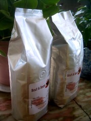 ORGANIC Domincan Republic Santo Domingo Coffee Medium Roast 5 Lbs