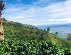 SINGLE ESTATE – COLOMBIAN GREEN COFFEE BEANS – 1 LB CATURRA, ARABICA