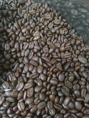 2oz Freshly Roasted Kopi Luwak Coffee – Whole Bean | Fresh Ground – Indonesia ☕️