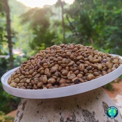 Ceylon Dried Homemade Coffee Beans 100% Organic Dry Bean Seeds Free Shipping