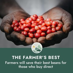 Organic Coffee – Nicaragua Medium Roast Whole Bean Coffee – 2 lb – Farmer Own…