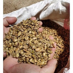 100% Rare Malaysia Liberica Coffee Beans – Unroasted – Single Origin 1kg