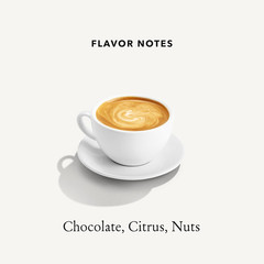 Organic Peru Medium Roast, 12 Ounce (Pack of 1) – Flavor Notes of Nutty, Chocola