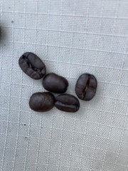 16oz Haiti Singing Rooster Zombie Coffee Fair trade small batch coffee Unique