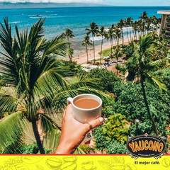 2 Pound Whole Bean Coffee Medium Roast Fresh From Puerto Rico Arabica