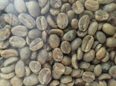 5 LB COLOMBIA COLOMBIAN UN-ROASTED FRESH GREEN COFFEE BEANS – ARABICA