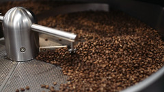 Colombia Supremo Fresh Roasted Arabica Coffee Beans – 2, 5, and 10 lb Sizes