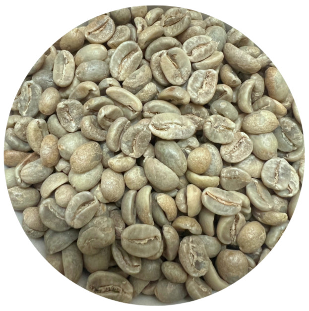 Mexico Chiapas HG EP – Unroasted Coffee Beans – 5 lb bag