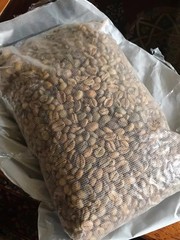 100% Rare Malaysia Liberica Coffee Beans – Unroasted – Single Origin 1kg