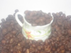 Arabica Golden Brown Roast Roasted coffee beans 500gms.