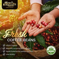 Base Camp Blend Medium Dark Roast Coffee, Low Acid, Ground, 5 lb (Pack of 1)