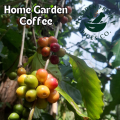 100% Ceylon Robuster Whole Coffee Beans 50g (1.76oz) -Homegarden Natural Quality