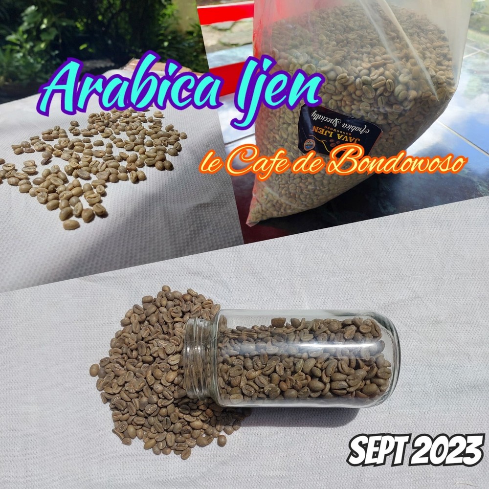 10 lb, le Cafe de Bondowoso – Arabica Coffee