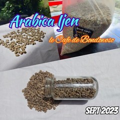 10 lb, le Cafe de Bondowoso – Arabica Coffee
