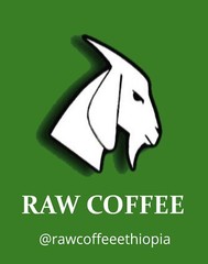 Highest Grade Green Coffee Beans 5 lbs Ethiopian Yirgacheffe