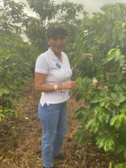 100% JAMAICAN BLUE MOUNTAIN COFFEE BEANS MEDIUM ROASTED 5 POUNDS IN 1 POUND BAGS