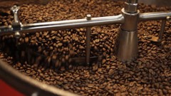 2 lb 5 lb 10 lb HONDURAS FRESH ROASTED SINGLE ORIGIN COFFEE BEANS – ARABICA