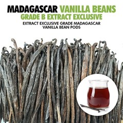 55 Organic Madagascar Vanilla Extract Exclusive Grade B Beans| 4″ – 55 Count