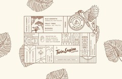 HONEY-BEAR – Reserve Limited Edition | Reserve Roast, Whole Bean, Nicaragua’s…
