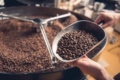 Torrat Geisha Coffee Beans 12oz SCA 88 Colombian Specialty Whole Bean Coffee