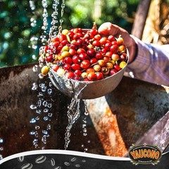 Authentic Puerto Rican Arabica Coffee – 30 Oz Medium Roast, Preservative-Free