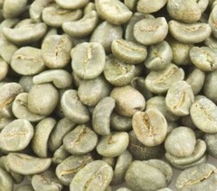 5 LB COLOMBIA COLOMBIAN EXCELSO EP 16+ UNROASTED GREEN COFFEE – ARABICA BEAN