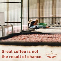 Intelligentsia House Blend Whole Bean Coffee 12 Ounce Bag Direct Trade Freshness