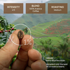 Medium Roast Whole Bean Coffee | Haitian Blue Mountain 100% Arabica