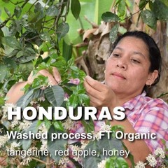 Honduras Fair Trade organic unroasted green coffee beans, Bird-Friendly, 4lbs