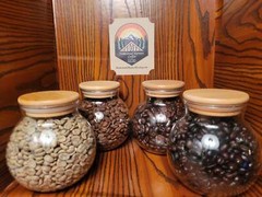 12 Oz Salvadorian Coffee | 100% Arabica | Fresh Roasted Artisan Coffee Beans