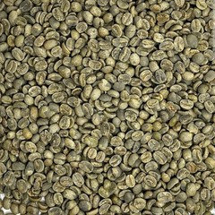 Green Coffee Beans / Brazilian Sul de Minas/1 Pound / UNROASTED