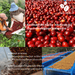 2X 100% Authentic Doi Chang Coffee Light/Medium /Dark, Arabica Coffee Beans 250g