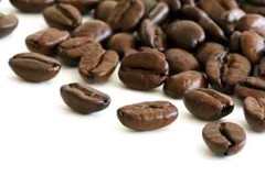2026 GOURMET COFFEE 1 Bag – Fresh Roasted Daily – Whole Bean FREE SHIPPING