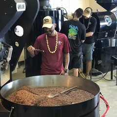 Gourmet Decaf Medium Roast Whole Bean Coffee Blend, 8 oz Coffee Beans